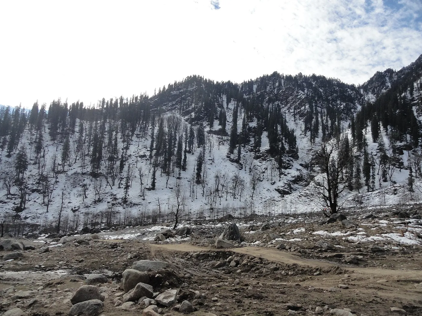 Manali, Himachal Pradesh