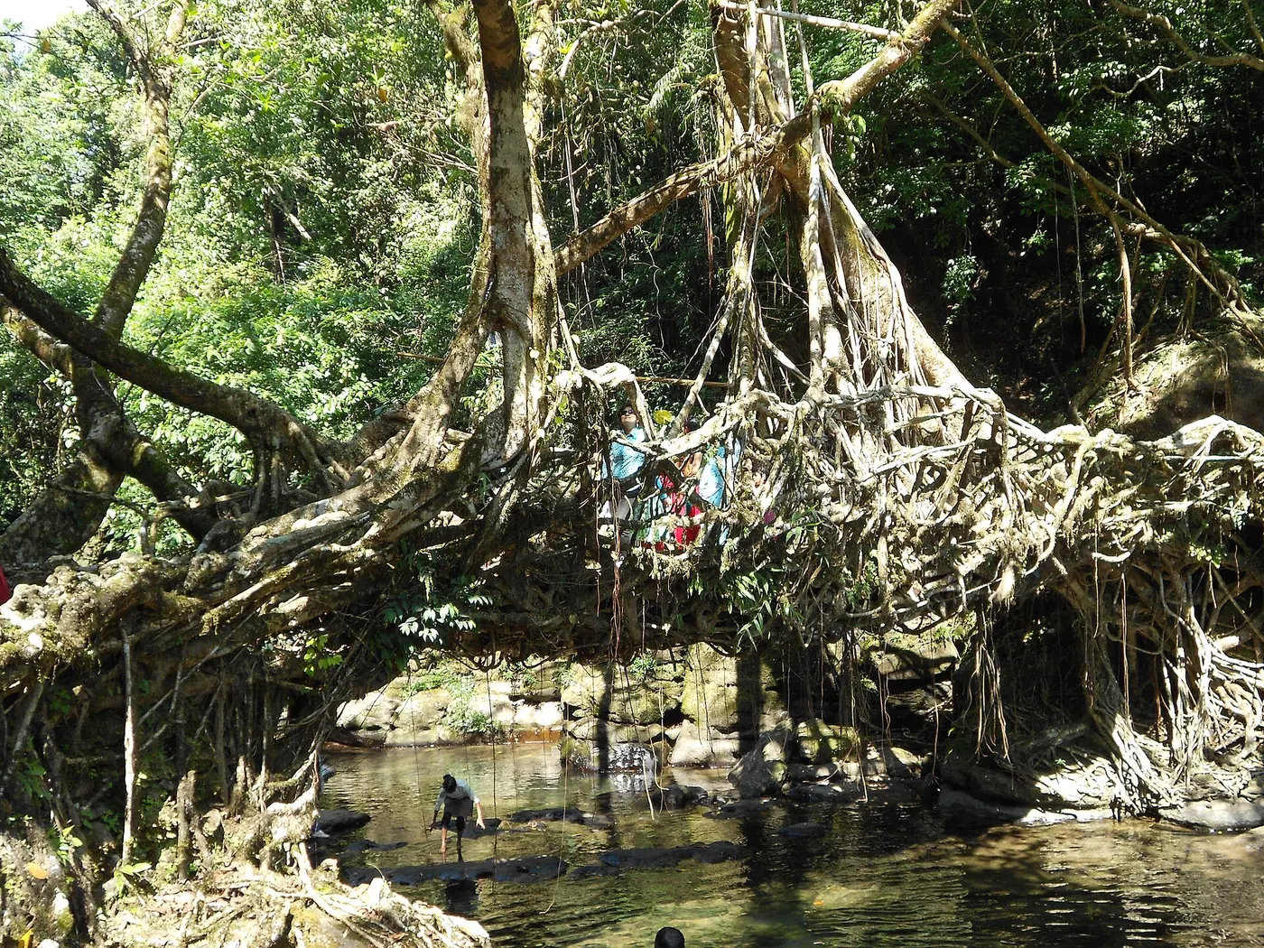 Meghalaya, Meghalaya